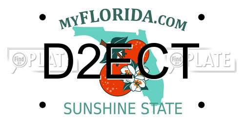 D2ECT Florida License Plate