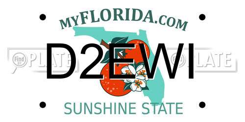 D2EWI Florida License Plate