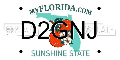 D2GNJ Florida License Plate
