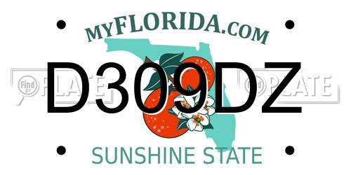 D309DZ Florida License Plate