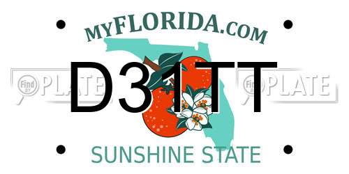 D31TT Florida License Plate