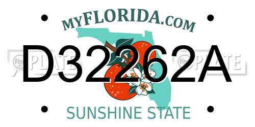 D32262A Florida License Plate