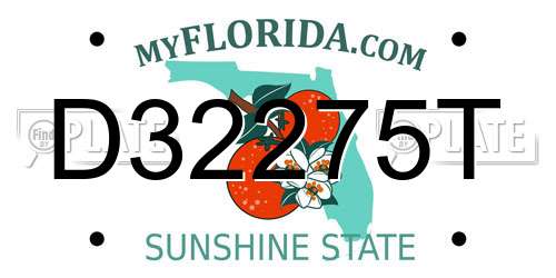 D32275T Florida License Plate