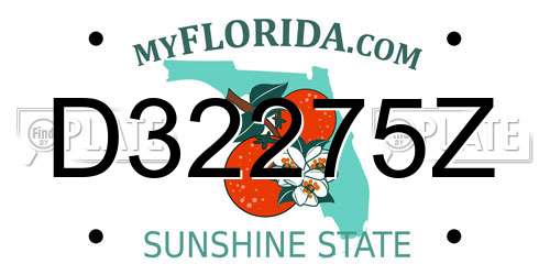 D32275Z Florida License Plate