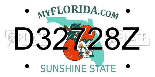D32728Z Florida License Plate