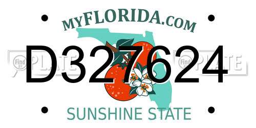 D327624 Florida License Plate