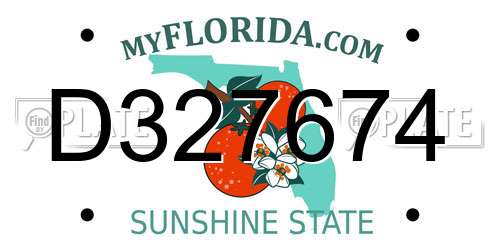D327674 Florida License Plate