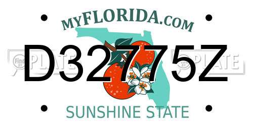 D32775Z Florida License Plate