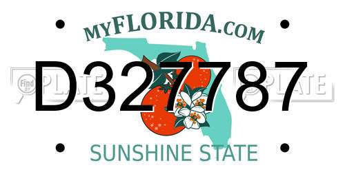 D327787 Florida License Plate