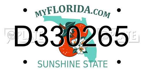D330265 Florida License Plate