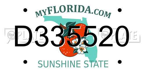 D335520 Florida License Plate