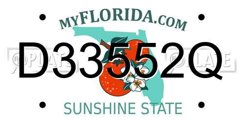 D33552Q Florida License Plate