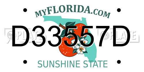 D33557D Florida License Plate