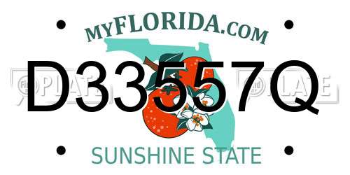 D33557Q Florida License Plate