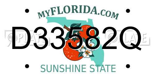 D33582Q Florida License Plate