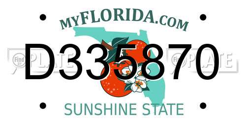 D335870 Florida License Plate
