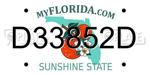 D33852D Florida License Plate