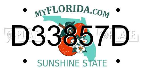 D33857D Florida License Plate