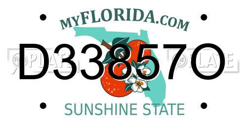 D33857O Florida License Plate