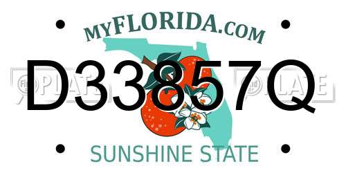 D33857Q Florida License Plate