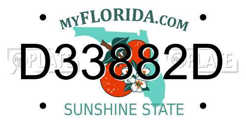 D33882D Florida License Plate
