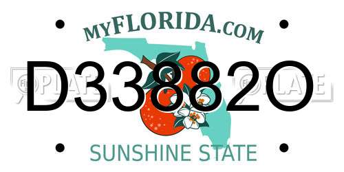 D33882O Florida License Plate