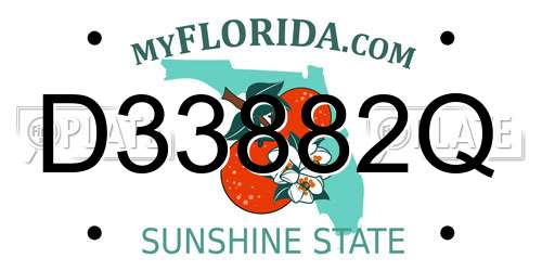 D33882Q Florida License Plate