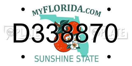 D338870 Florida License Plate