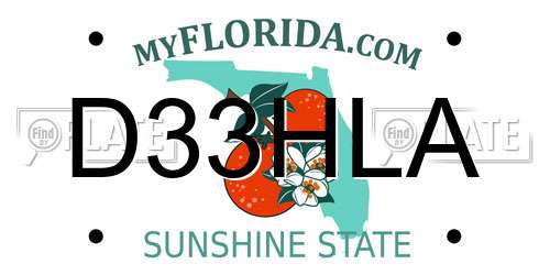 D33HLA Florida License Plate