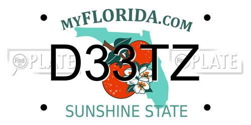 D33TZ Florida License Plate
