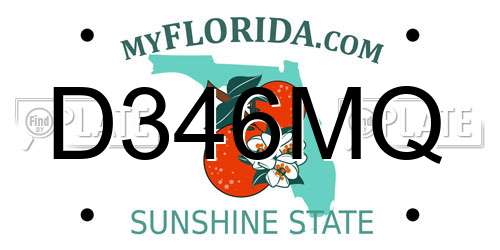 D346MQ Florida License Plate