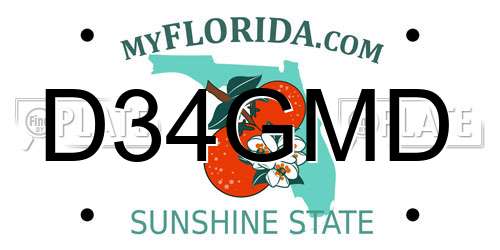 D34GMD Florida License Plate
