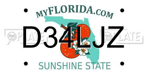 D34LJZ Florida License Plate