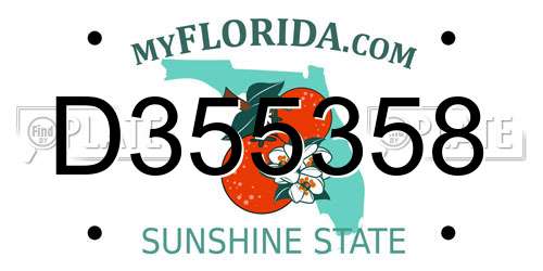D355358 Florida License Plate
