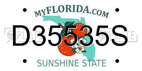 D35535S Florida License Plate