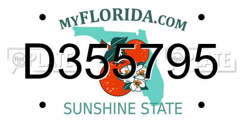 D355795 Florida License Plate