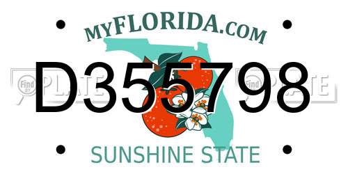 D355798 Florida License Plate