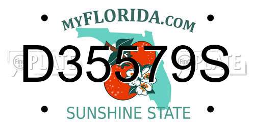 D35579S Florida License Plate