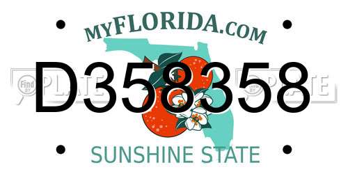 D358358 Florida License Plate