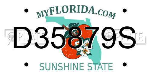 D35879S Florida License Plate