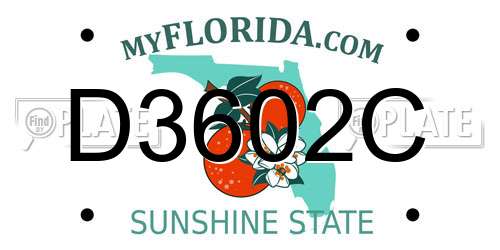 D3602C Florida License Plate