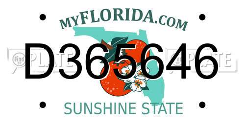 D365646 Florida License Plate
