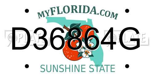 D36864G Florida License Plate