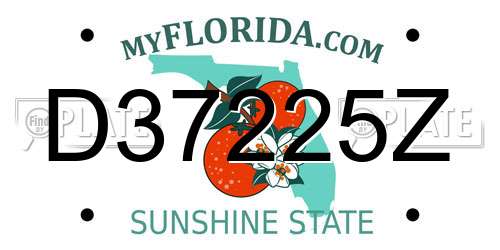 D37225Z Florida License Plate