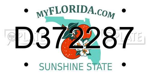 D372287 Florida License Plate