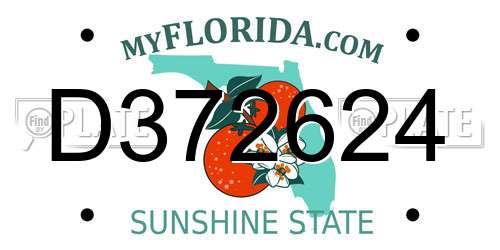 D372624 Florida License Plate