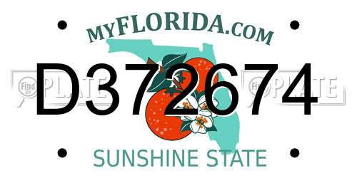 D372674 Florida License Plate