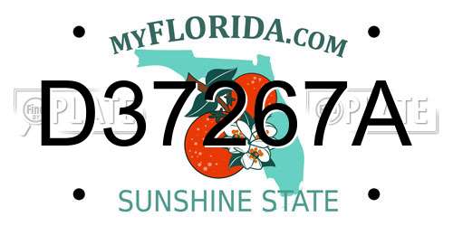 D37267A Florida License Plate