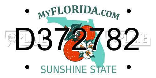 D372782 Florida License Plate