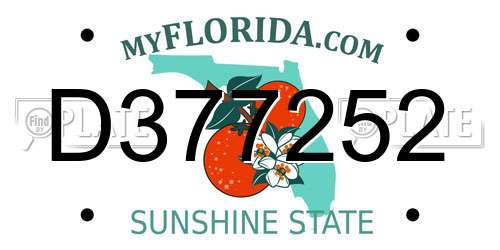D377252 Florida License Plate